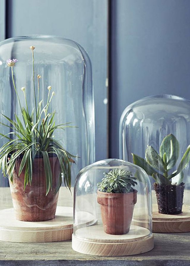 Vechter Gearceerd Negen Interieur trend: Planten in huis - Studio Woonforum